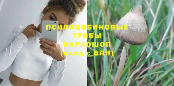 apvp Костерёво