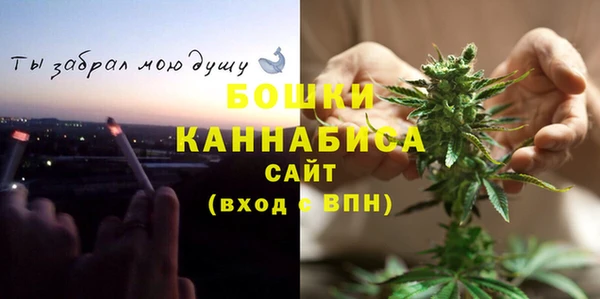 apvp Костерёво