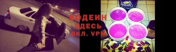 прущие крисы Корсаков