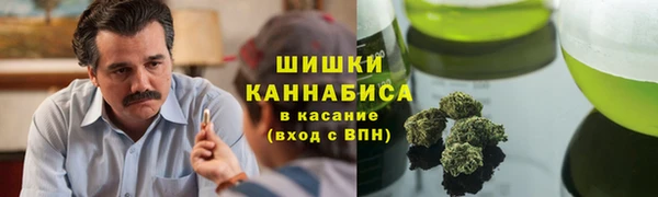 прущие крисы Корсаков