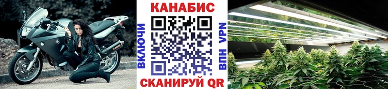 МАРИХУАНА сатива  Купить где  Усть-Катав 
